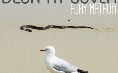 Ajay Mathur