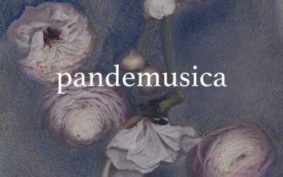 Cantodiscanto