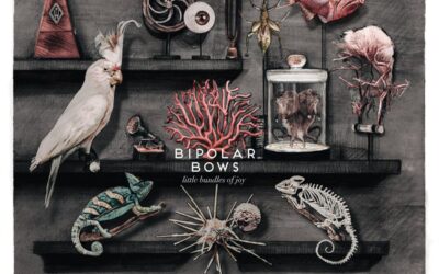 Bipolar Bows