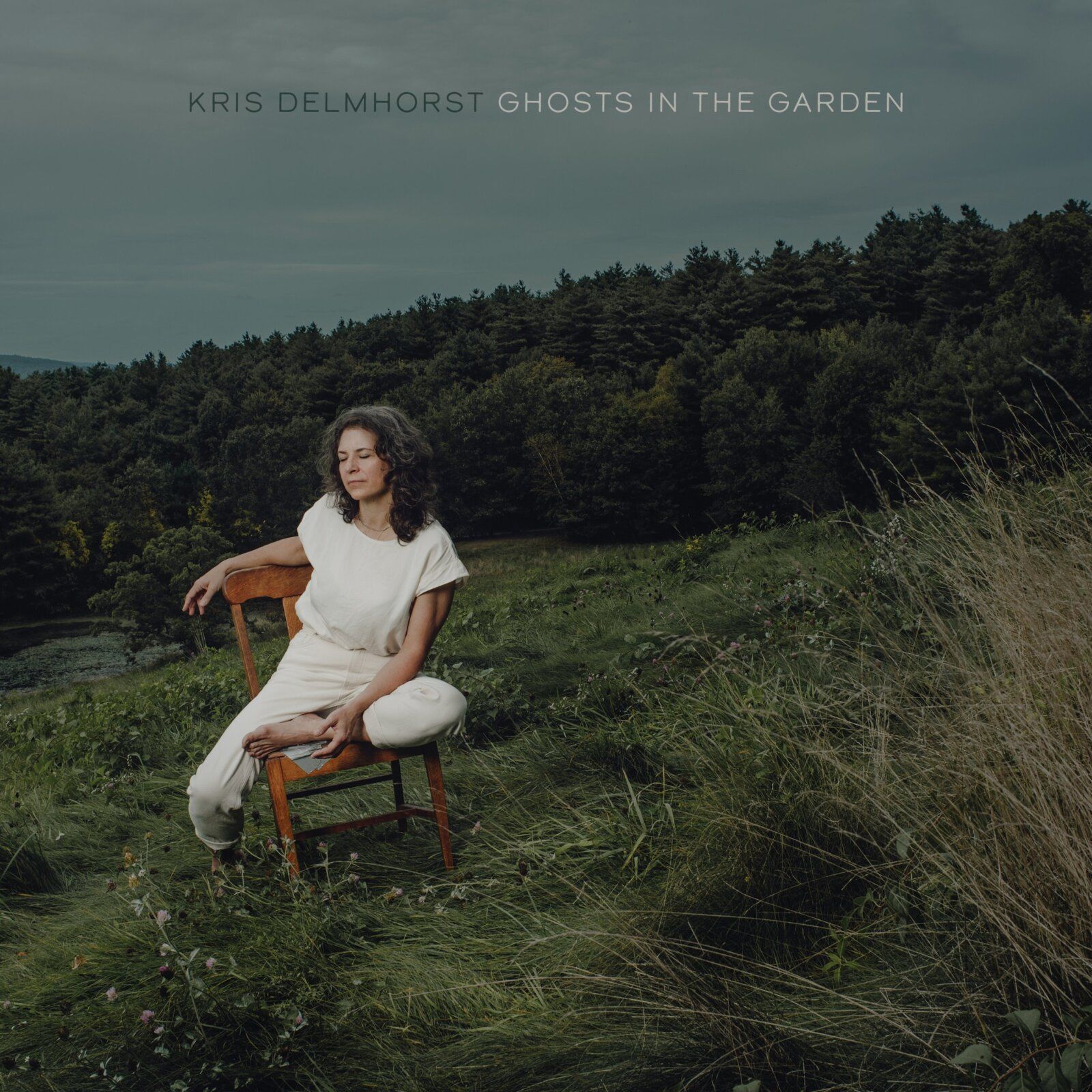 Cover_Delmhorst, Kris