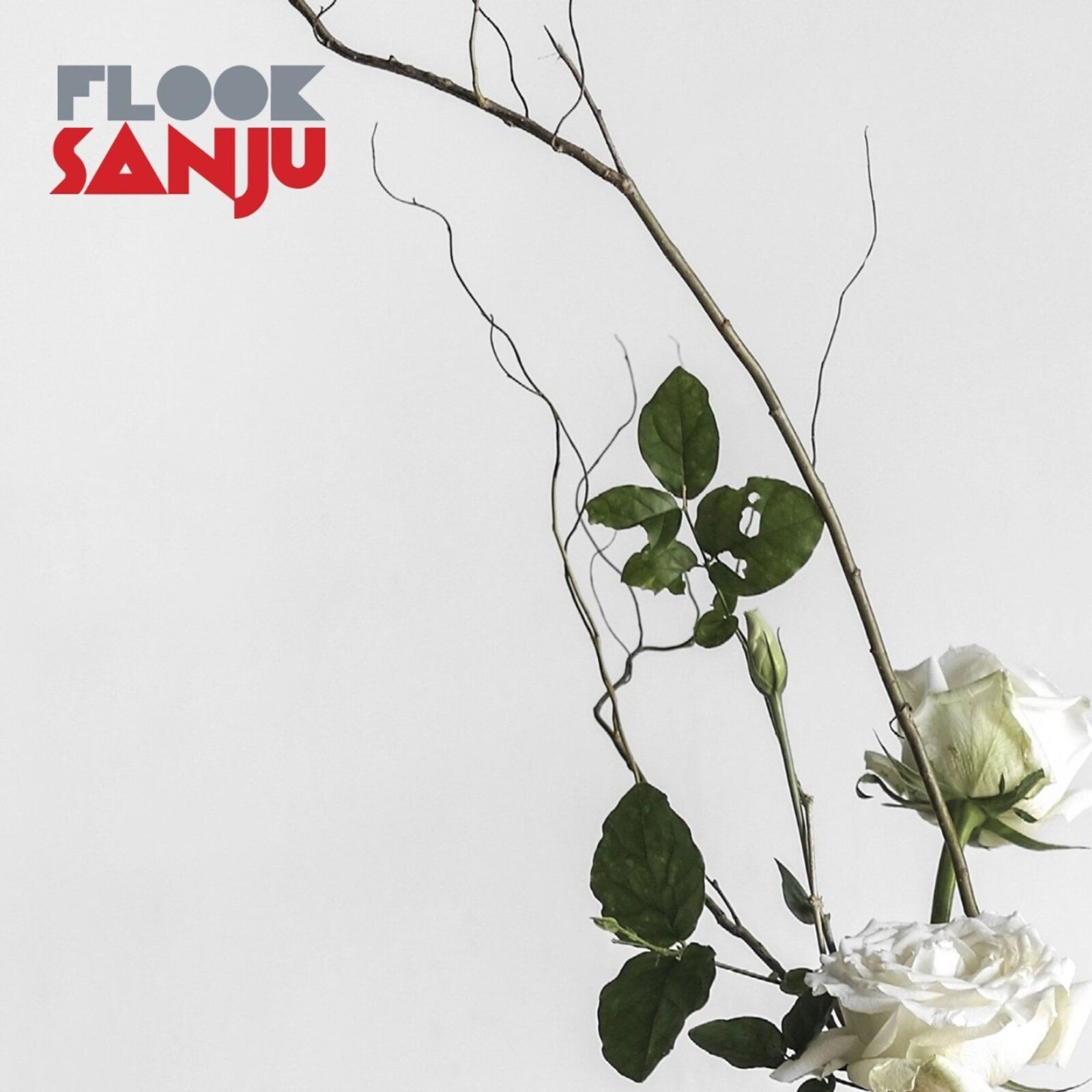 Cover_Flook