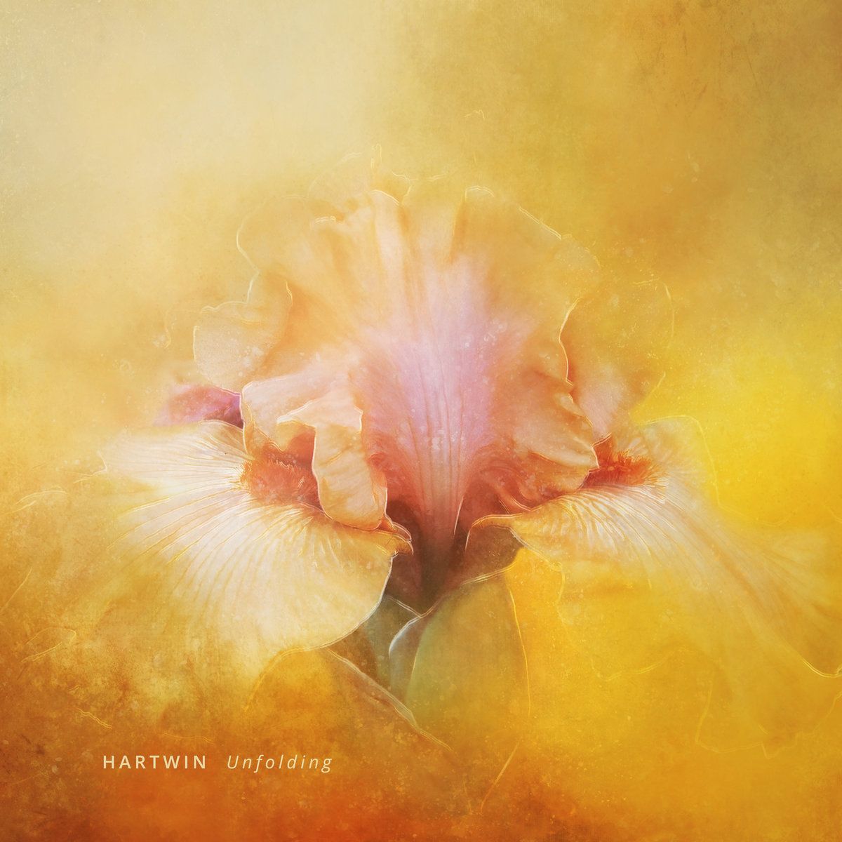 Cover_Hartwin