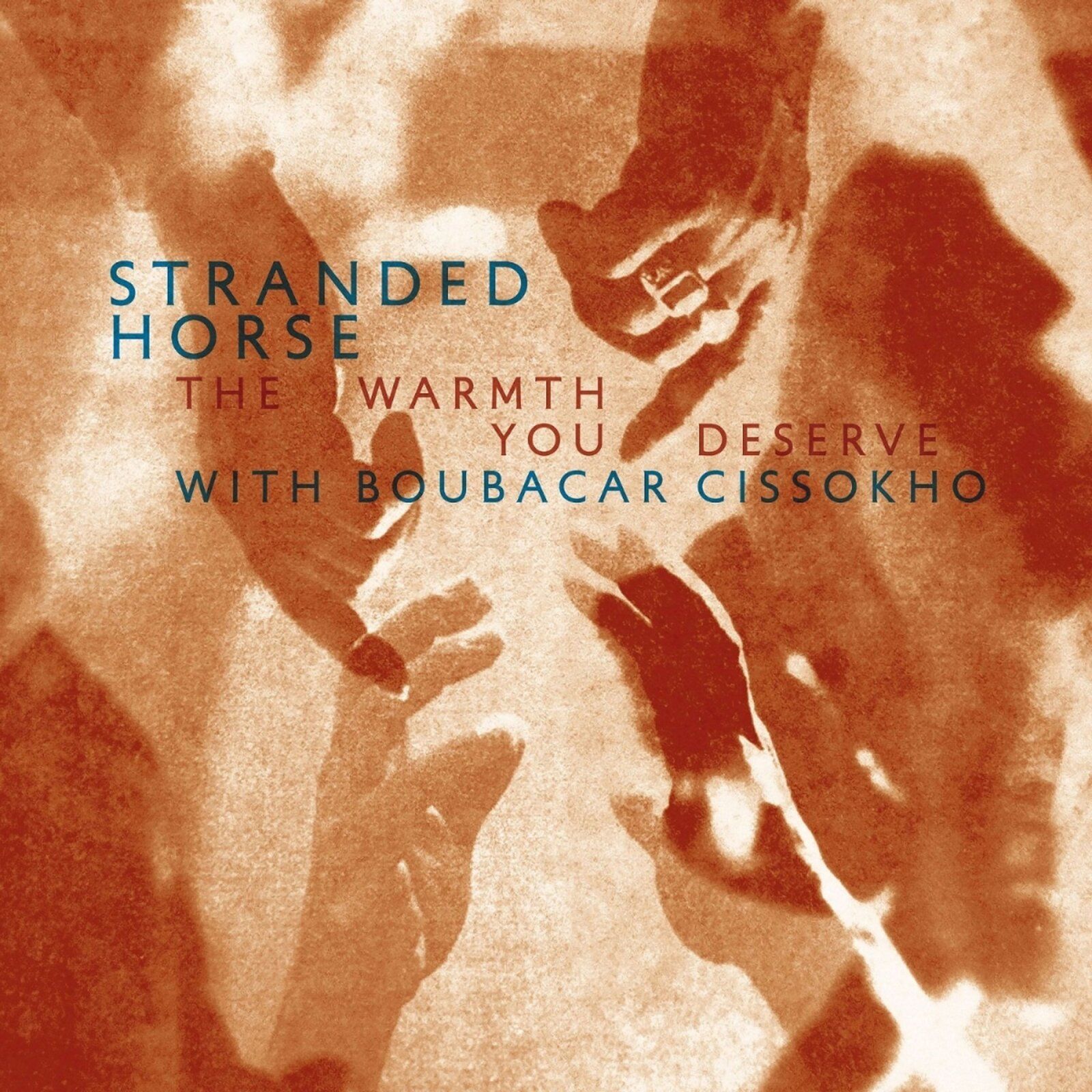 Cover_Stranded Horse
