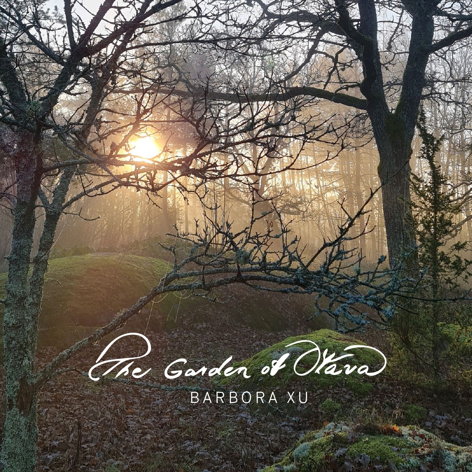 Cover_Xu, Barbora