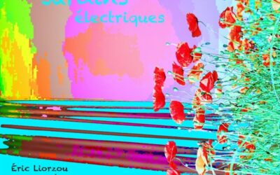Eric Liorzou & Yann Gueguen