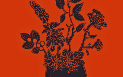 Flora Purim