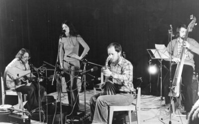 Wegbereiter des deutschen Folkrock