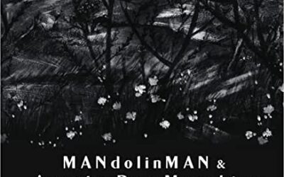 MANdolinMAN & Ansatz der Maschine