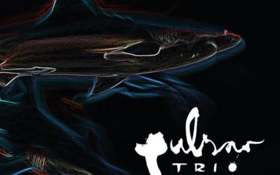 Pulsar Trio