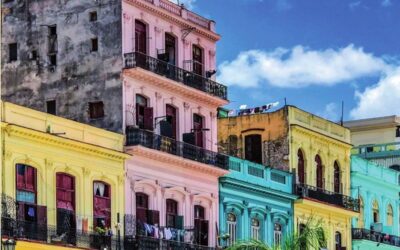 The Cuban Orchestra